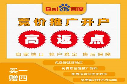竞价代运营实战案例深度剖析